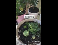 Girl does quarantine activities