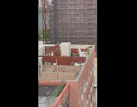 collab winy - Wind blows away pool from roof 