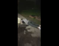 Grey shirt guy attempts worm fail scorpion  