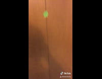 All the things you can do with tape