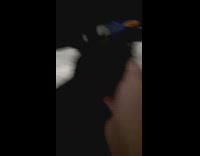 Filmer plays with black pet cat rub belly
