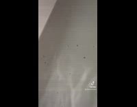 Girl bathing in seasoning salt instead of bath salts 