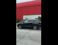 Collab winy - Man drives car brushes teeth on street