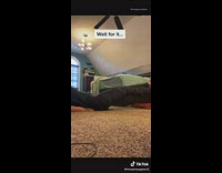 Dog interrupts girl recording herself exercising legs