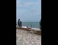 Woman raise and flap mermaid tail beach