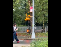 Submitter shows broken pedestrian signal light