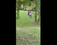 Two guys talk and laugh while lady photographs them 