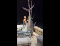 Man reels in huge yellowfin tuna