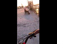 Guy on bench pink bra around head 