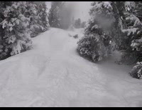Skier loses balance after hitting a bump and crashes into snow