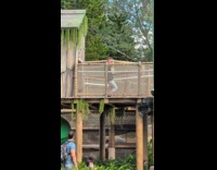 Collab IITW - Man dances at amusement park play area