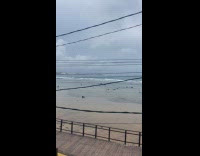 Woman bikini top dances beach cops behind