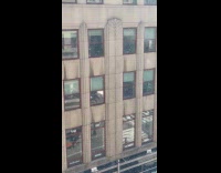 Bee swarm flies near the city buildings