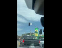 Pigeon hangs out on traffic light signal