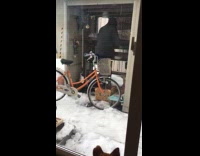 Dog watching grandpa drying persimmons 