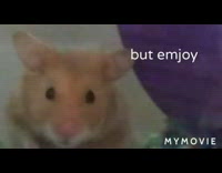 Pet hamster tries to eat peach cage