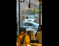 Gray dog sticks head and arm out car window 