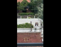 Man and woman choreographer fight outside window