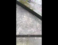 Person steps produce protruding ice sludge on ground