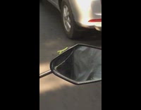 Collab DailyDoseOfInternet - Green praying mantis on bicycle mirror 
