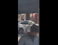 Blue bird sits open window door car 