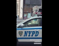 Guy aladdin costume rides flying magic carpet 