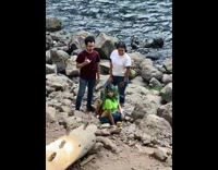 Three people timer pictorial tree log waterfalls