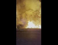 Wildfire Burns Trees Near Freeway 