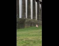 Guy play violin sit stairs large pillars part 1