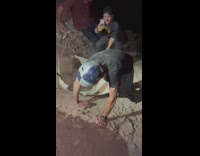 Guy in red bull helmet sits on a sled and slides down a dirt hill 
