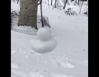 Duck shaped snowball snowman on wood stick 