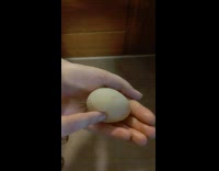 Soft egg touched without the hard shell