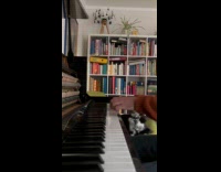 Dog sings with owner while playing piano