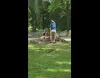 Blue shirt guy two large dogs dirt