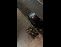 Man sneeze and gag at street flowers