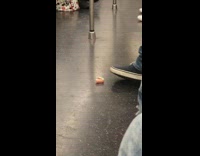 Dentures on subway train black balloon 