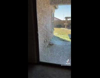 Glass on backyard sliding door completely broken and shattered