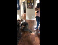 Guy try VR lose balance hit wall