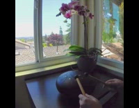 Guy plays black drum xylophone instrument window 