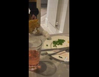 Cat sneaks taste of green pea on plate 