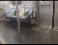 Collab Subway Creatures - Man dreadlocks sleep lay on train seats