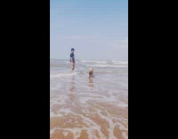 Dog wet run towards filmer beach slow motion