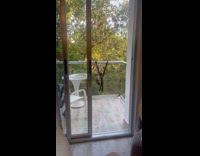 Monkey striking pose before entering villa 