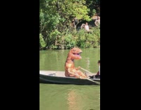 Orange dinosaur trex rows boat on lake with woman