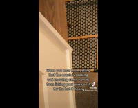 ClipsIG - Dog Stares at Lady from Behind Stairs