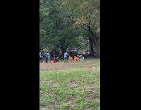 Girls wear santa hats guys wear reindeer costumes  