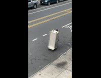 Collab winy - Man pulls cart while on a hoverboard 