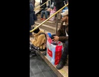Man lays down on public stairs with big belly sticking out