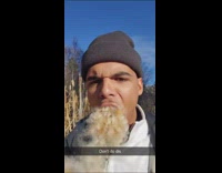 Collab BitchMP - Cattail plant forbidden wild glizzy