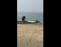 Woman green mermaid witch hat costume beach